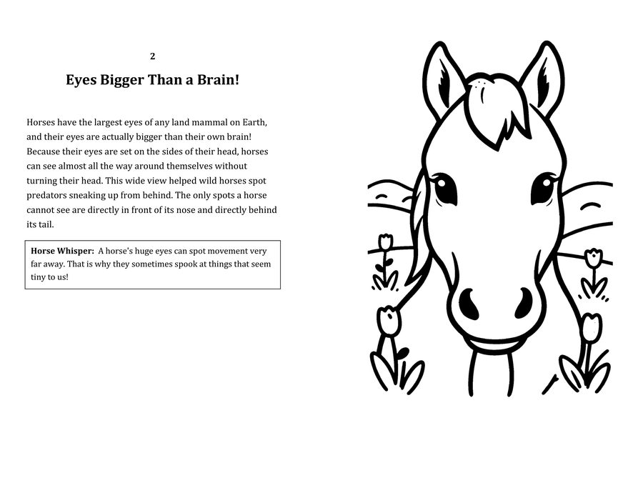 Look inside sample spread: Eyes Bigger Than a Brain! fact page with matching coloring illustration