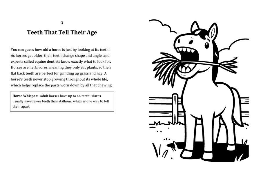 Look inside sample spread: Teeth That Tell Their Age fact page with matching coloring illustration