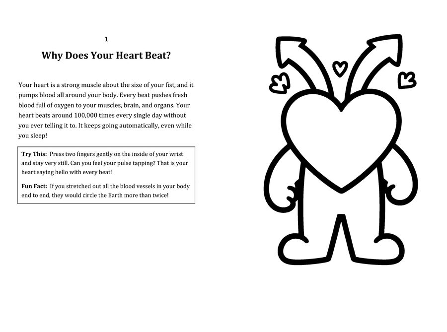 Look inside sample spread: Why Does Your Heart Beat? fact page with matching coloring illustration
