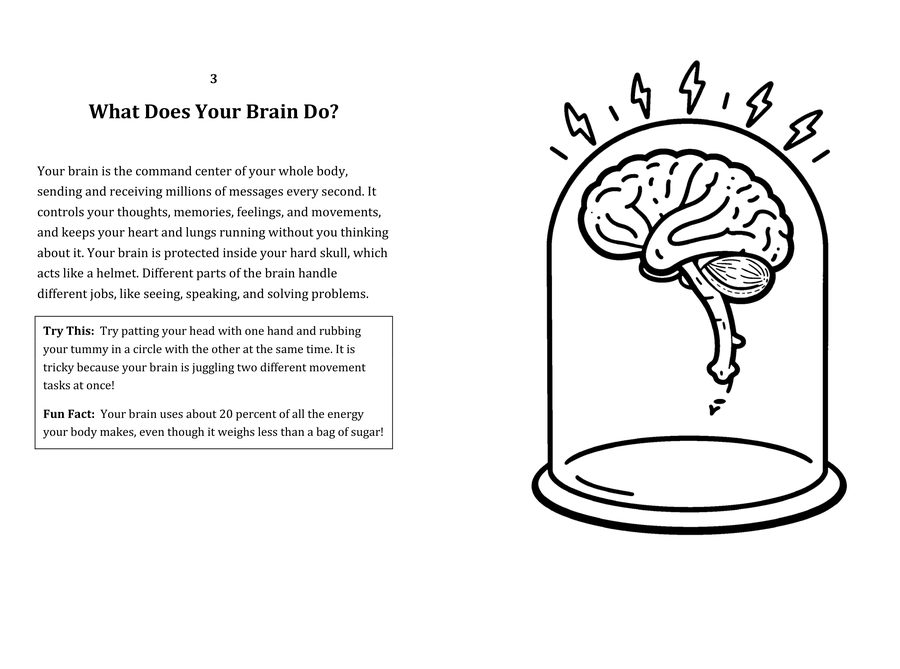 Look inside sample spread: What Does Your Brain Do? fact page with matching coloring illustration