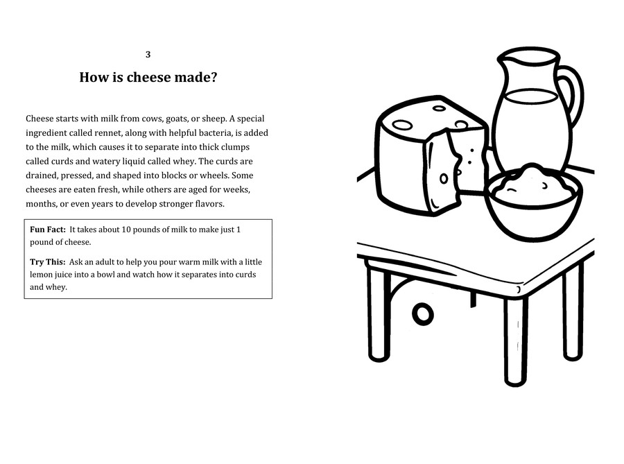 Look inside sample spread: How is cheese made? fact page with matching coloring illustration